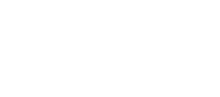 bsvk-logo